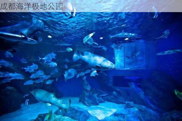 成都海洋极地公园