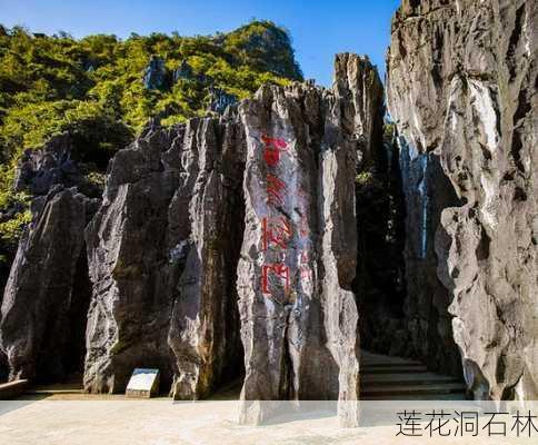 莲花洞石林