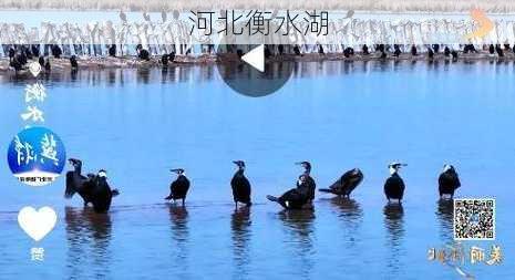 河北衡水湖