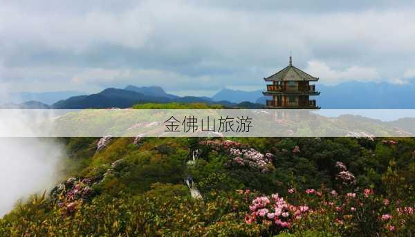 金佛山旅游