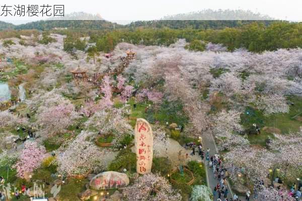 东湖樱花园