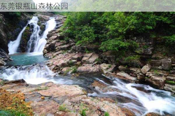 东莞银瓶山森林公园