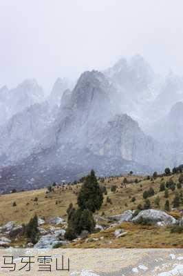 马牙雪山