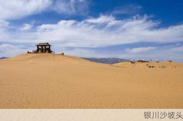 银川沙坡头