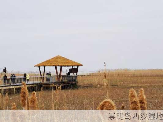 崇明岛西沙湿地