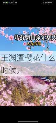 玉渊潭樱花什么时候开