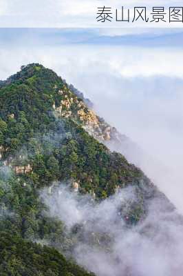 泰山风景图