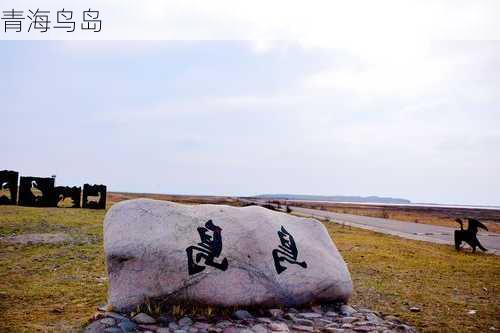 青海鸟岛