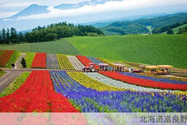 北海道富良野