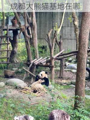 成都大熊猫基地在哪