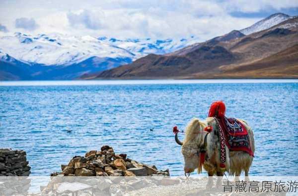 青藏高原旅游