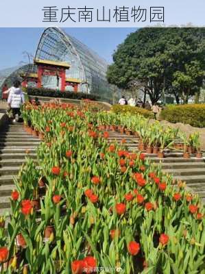 重庆南山植物园