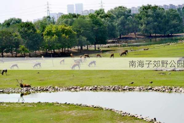 南海子郊野公园