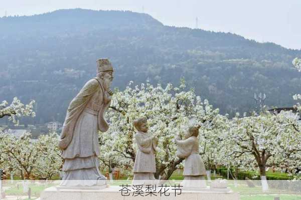 苍溪梨花节