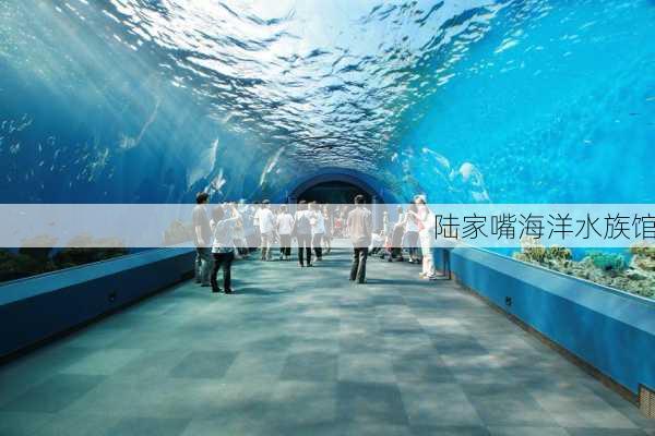 陆家嘴海洋水族馆