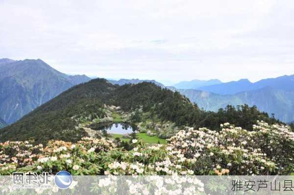 雅安芦山县