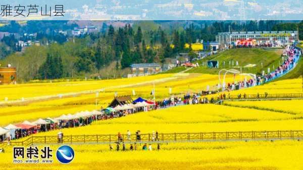 雅安芦山县