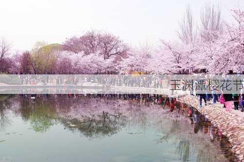 玉渊潭樱花节